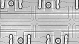 A programmable microfluidic static droplet array for droplet generation transportation fusion [upl. by Alisan488]