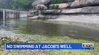 Jacob’s Well suspends 2024 swimming season [upl. by Anaeli]