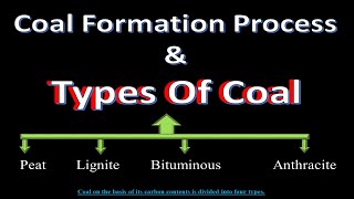 Types of Coal  How Coal is formed Step by Step  Coal Formation Process  Organic Compounds [upl. by Loella]