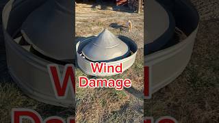 Farm life is full of surprises wind damage farmlife goatfarming livestock oldbarns cupola [upl. by Westley]