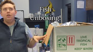 Saltwater Wednesday Caribbean Fish Unboxing [upl. by Ecnerolf121]