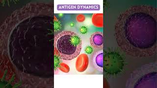 Antigen and Antibody  Healthy Track shorts how explore information [upl. by Noda]