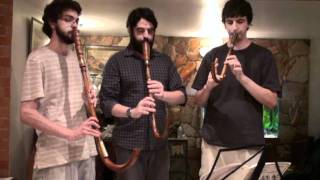 16th Century music on crumhorns  Susato  Crumhorn Trio  Die vier Branlen [upl. by Crutcher980]