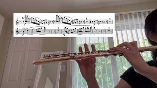 9424 practice Till till till Eulenspiegel’s Merry Pranks flute excerpt [upl. by Lulu]