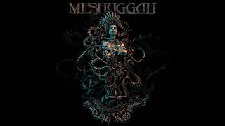 Meshuggah  Stifled Outro extended [upl. by Lemkul]