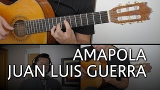 Amapola Juan Luis Guerra Guitarra Cover Mauro Martinez [upl. by Debora]