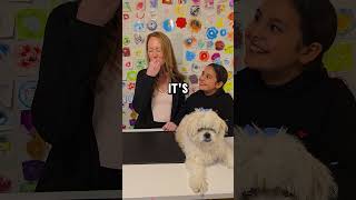 Candy thats dog food 🤔 shorts short youtubeshorts youtubeshort funny fyp viralvideo viral [upl. by Vilhelmina704]