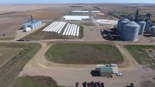 15 million bushels of wheat bagged by Loftness Grain Bagger SD Wheat Growers Highmore SD 1013162 [upl. by Madalena986]