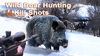 Wild Boar Hunting Shots Compilation  Compilation de tir au Sanglier 2022 [upl. by Guillemette]