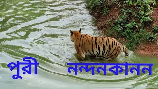 Puri।। Nandankanan।। পুরী।। নন্দনকানন।। travel tour [upl. by Hulbig]