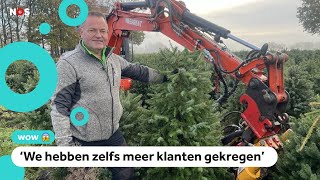 Duizenden vernielde kerstbomen toch verkocht [upl. by Ileek618]