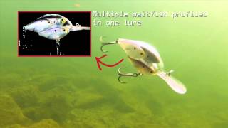 LIVETARGET BAITBALL Series Threadfin Shad Crankbait [upl. by Etnovad632]