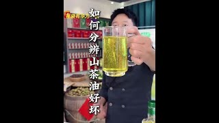 你们知道如何分辨山茶油的好坏吗？山茶油 山茶油压榨过程 茶油 [upl. by Harding]