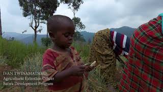 BATWA DEVELOPMENT PROGRAM [upl. by Ledba402]