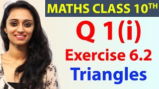 Q 1i Ex 62 Triangles Chapter 6 Maths Class 10th  NCERT [upl. by Daffi]