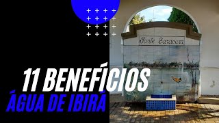 11 benefícios da água de Ibirá [upl. by Nagar]