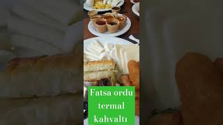 Ordu Fatsa termal otel [upl. by Modestia]