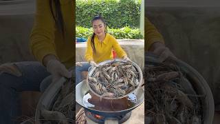 Yummy River shrimps cooking and fry rice [upl. by Yssenhguahs]