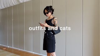 vlog  outfits of the week and cats [upl. by Aehtna]