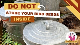 Dont Store Your Bird Seed Inside birdwatching sunflowerseed finch [upl. by Ylesara]