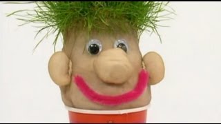 Mister Maker  Mister Grass Head Make [upl. by Macegan]