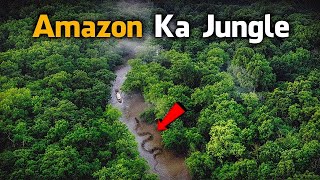 Most Dangerous Animals Of Amazon Rainforest  Strange Facts About Amazon Rainforest HindiUrdu [upl. by Noah148]