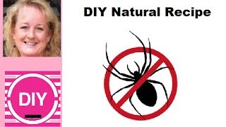 How to Make a Cheap Natural Spider Repellent [upl. by Vidal]