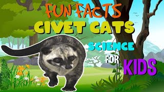 Fun Facts about the Civet Cat  Science Facts for Kids [upl. by Malissia]