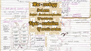 evolution of aortic arches✍️✨📝 msc zoology 3rdsem notes substructure and function of vertebrates [upl. by Ziguard]