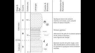 Les logs stratigraphiques par Mme Ruault Djerrab [upl. by Aicilef]