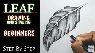 HOW TO DRAW AND SHADE A LEAF  Step By Step [upl. by Meggy]