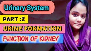 urine formation 😱  function of kidney part of nephron must watch ☑️✅studymotivation [upl. by Fanchette]