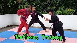 Tapondo Reflexes Training [upl. by Ahseeyt]