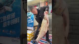 See how to sell fish foryou catchbigfish shorts short shortvideo [upl. by Lexa]