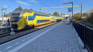 De VIRM 9556 groenetrein op station Heerhugowaard op 23 en 24 Oktober 2024 treincompilatie ns [upl. by Ellinej]