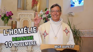 Homélie Mgr Aupetit  10 nov 2024 [upl. by Canute602]