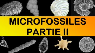 Les MICROFOSSILES Partie II par Mme RuaultDjerrab [upl. by Hanway483]