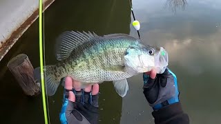 2 HOURS Of SLAB CRAPPIE Fishing From The BANK🎣 BANK CRAPPIE FISHING‼️ [upl. by Aidyl641]