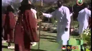 Oromo Music  Traditional Band Arsi [upl. by Ayekat]