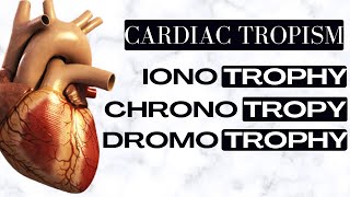 Cardiac tropism  Chronotropy vs Ionotropy vs dromotropy [upl. by Gytle]