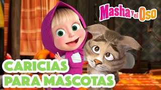 Masha y el Oso 🐻👱‍♀️ Caricias para mascotas😸 Dibujos animados 🎬😁 Masha and the Bear [upl. by Assilev]