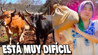 CAMPO MEXICANO ES ASí SALÍ REGAÑADA🫠 l Chingu Amiga [upl. by Assereht]