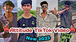 quotAttitude TikTokquot🤬 বছরের সেরা Attitude টিকটক ভিডিও  viral attitude video  attitude part1 [upl. by Janith]