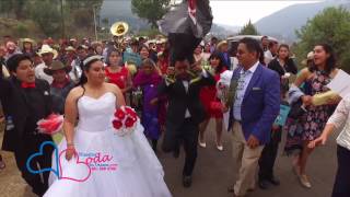 Boda Oaxaqueña  Monos de calenda [upl. by Yla413]