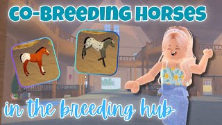 CoBreeding Horses in the BREEDING HUB With Random People  Wild Horse Islands [upl. by Sharman1]