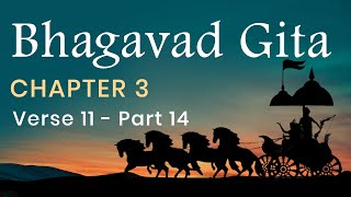 Bhagavad Gita Chapter 3 Verse 11  PART 14 in English by Yogishri [upl. by Leunam162]