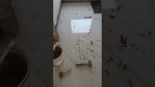 Tile Work In New Construction House  Construction shorts homedecor viral Trending [upl. by Neelyak]