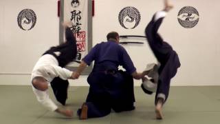 Yeshua Do Video 20 Randori [upl. by Ahsenet648]