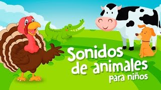 SONIDOS DE ANIMALES PARA NIÑOS DE 1 A 2 AÑOS  NUEVO [upl. by Eiramanitsirhc97]