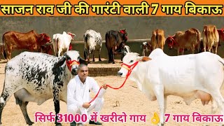 18 Letter Milk 👌 31000 में खरीदो गाय 🎉 Top 7 Sahiwal Rathi Cholistani Tharparkar Gir Mix Breed Cow [upl. by Odericus653]